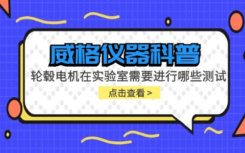 威格儀器-輪轂電機(jī)在實(shí)驗(yàn)室需要進(jìn)行哪些測試插圖